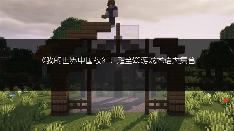 《我的世界中国版》：超全MC游戏术语大集合