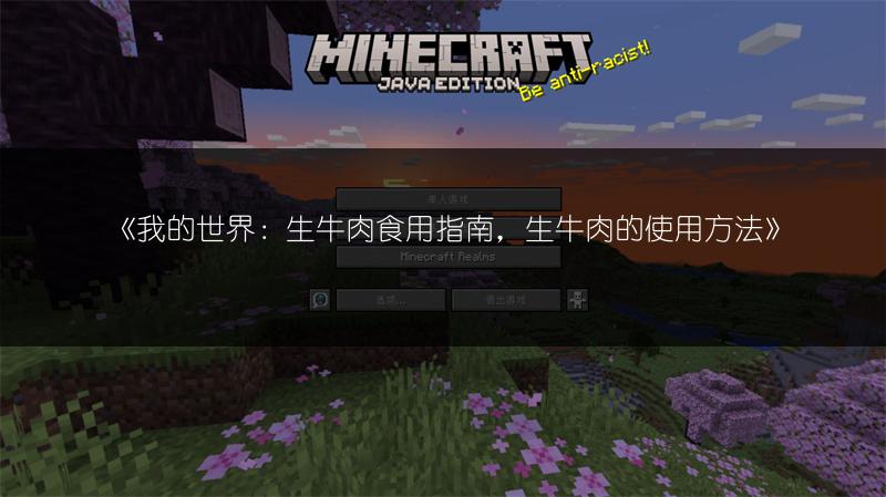 《我的世界：生牛肉食用指南，生牛肉的使用方法》