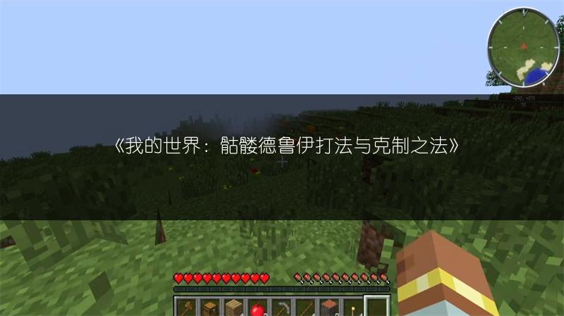 《我的世界：骷髅德鲁伊打法与克制之法》