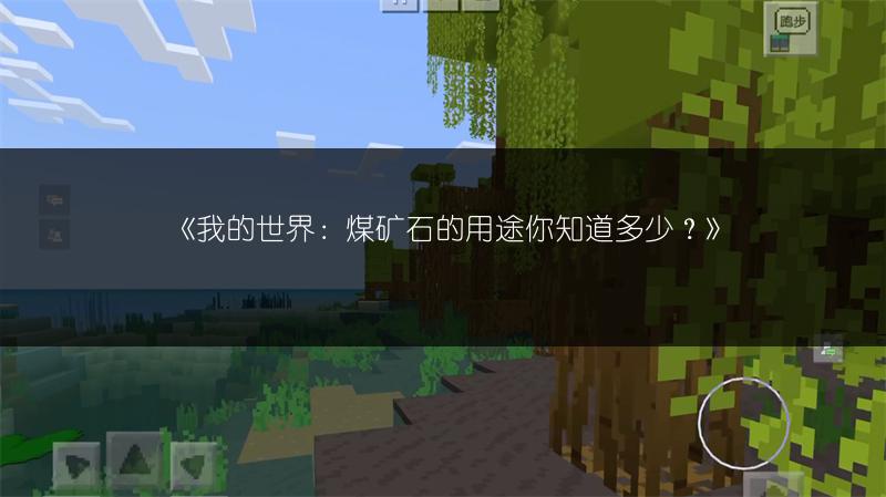 《我的世界：煤矿石的用途你知道多少？》
