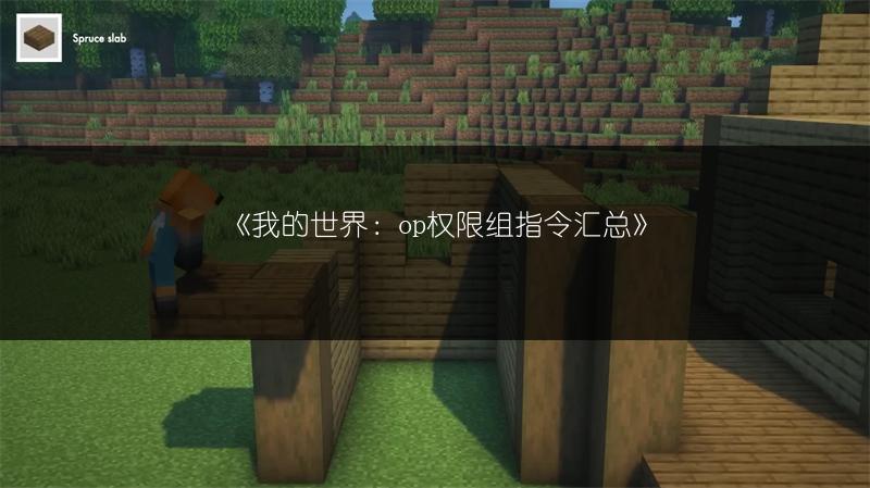 《我的世界：op权限组指令汇总》
