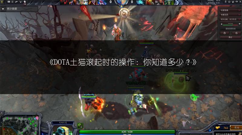 《DOTA土猫滚起时的操作：你知道多少？》