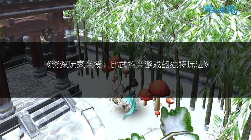 《资深玩家亲授：比武招亲游戏的独特玩法》