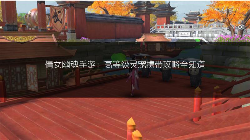 倩女幽魂手游：高等级灵宠携带攻略全知道