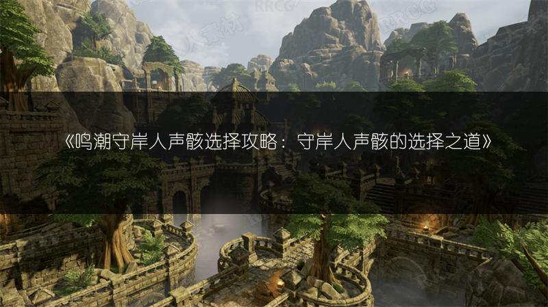 《鸣潮守岸人声骸选择攻略：守岸人声骸的选择之道》