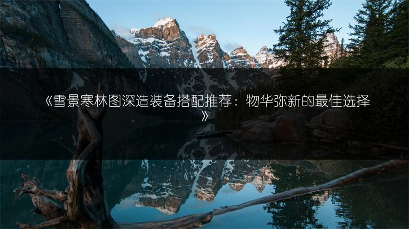 《雪景寒林图深造装备搭配推荐：物华弥新的最佳选择》