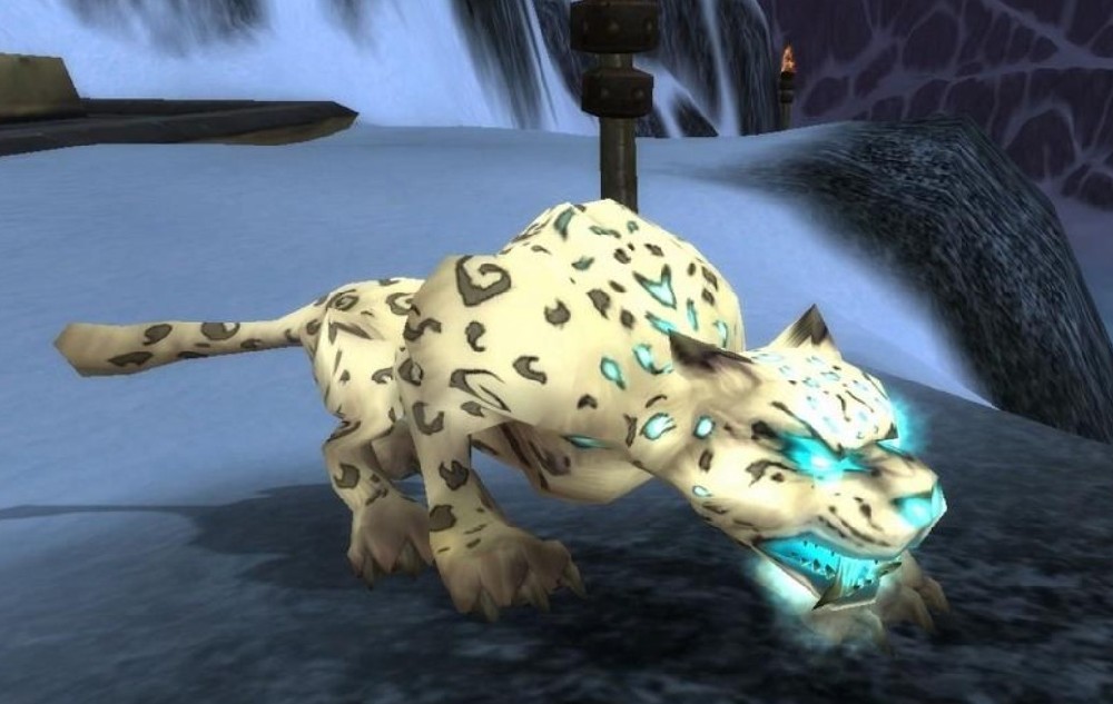 1758364696125509.jpg 1.jpg