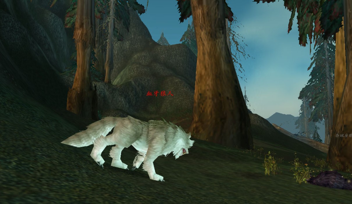 1759041600205534.jpg 1.jpg